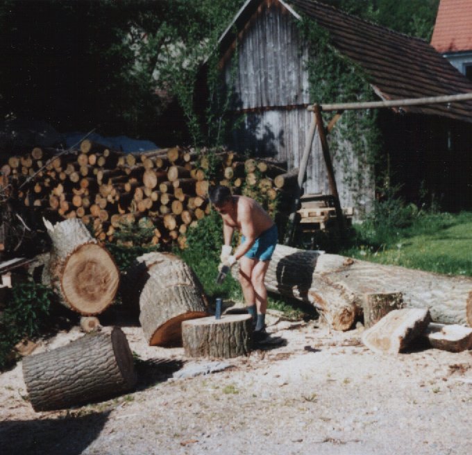 wie man sieht: Holzheizungen wrmen fter als ein mal